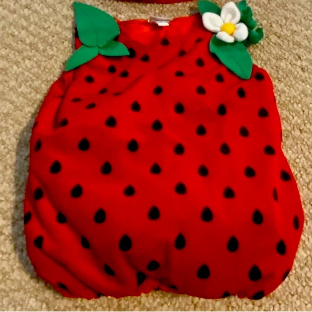 Baby/toddler unisex strawberry Halloween costume